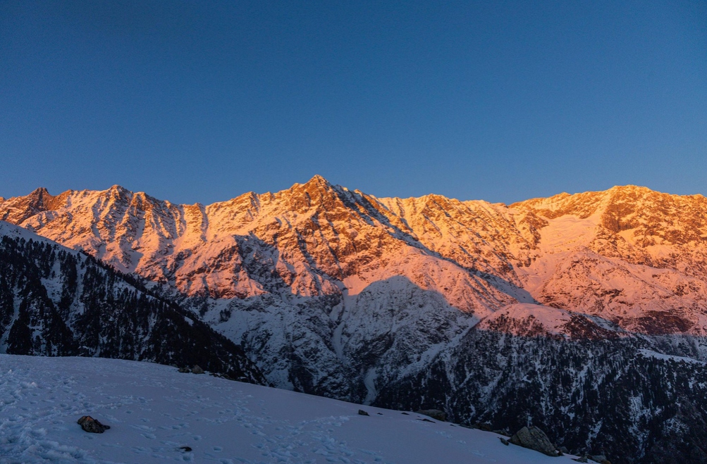 Scenic view of lush green fields and majestic snow-capped Dhauladhar mountains in Kangra